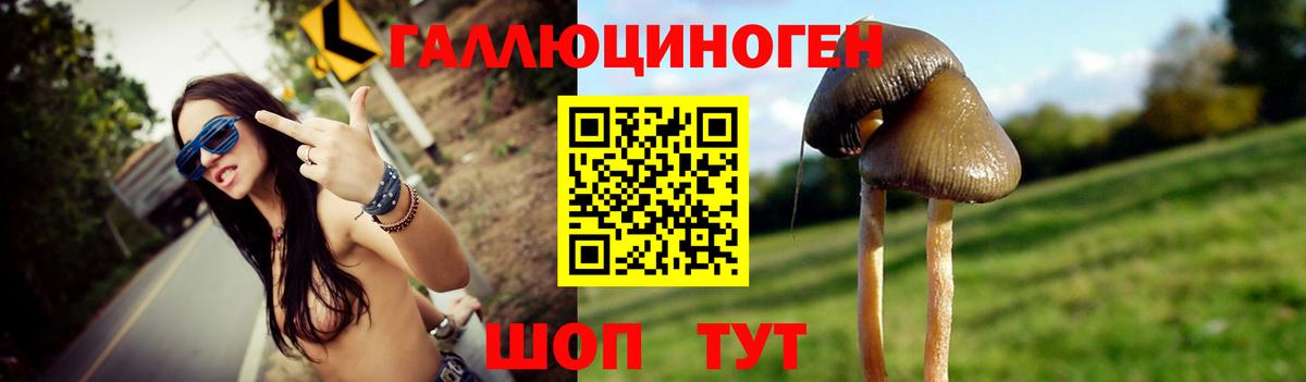 Красногорск  Псилоцибиновые грибы мицелий  Вход с VPN 